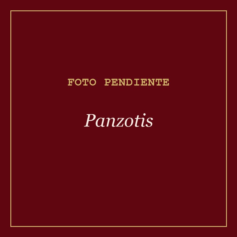 Foto pendiente: panzotis de espinaca y parmesano